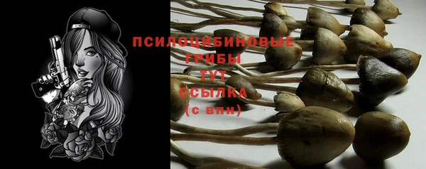 таблы Аркадак