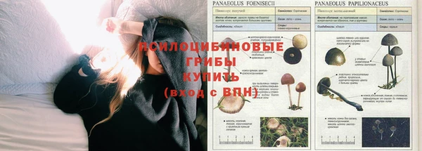 таблы Аркадак