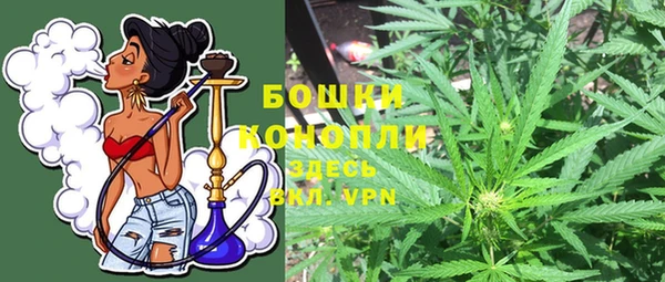 эйфоретик Арсеньев