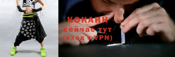 эйфоретик Арсеньев