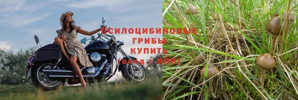 амф Осинники