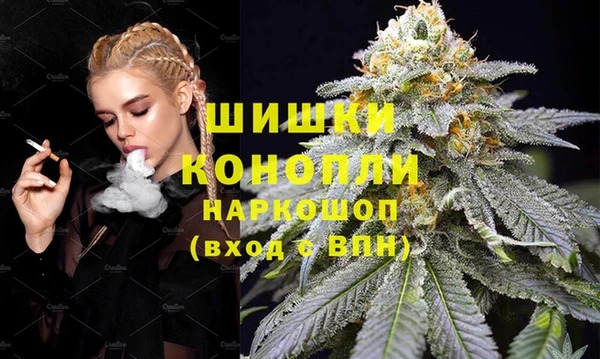 эйфоретик Арсеньев
