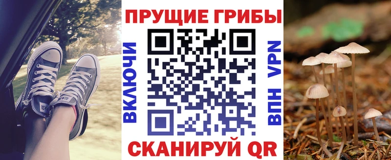 Галлюциногенные грибы прущие грибы Берёзовский